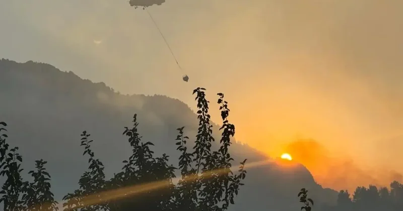 Şakalaşırken orman yangını çıkarmıştı! Dudak uçuklatan ceza: 43 milyon 752 bin lira...