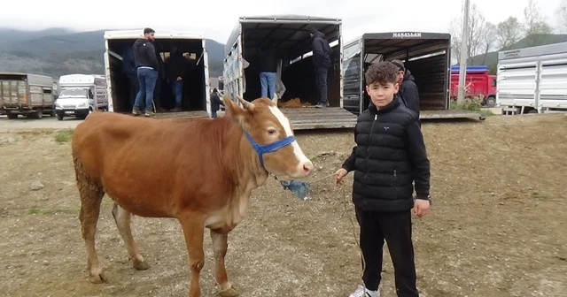 Hayvan pazarının en küçük celepçisi kurbanlık satıyor Bolu Haberleri