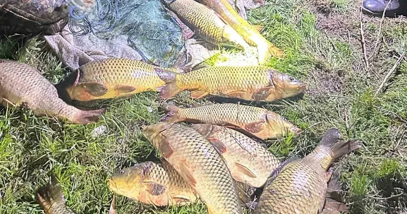 Eğirdir gölünde kaçak avcılık: 100 kilo sazan yeniden bırakıldı