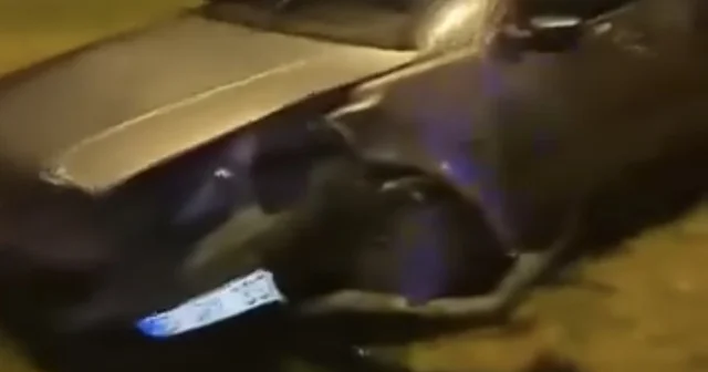 Zonguldak taki trafik kazasında 2 si çocuk 5 kişi yaralandı Zonguldak Haberleri