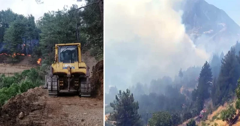 Arkadaşıyla şakalaşırken 92 hektarlık orman kül oldu: Cezası belli oldu