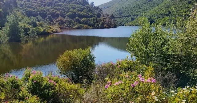 Doğaseverler Bahçecik Boğazı na dikkat çekti EKODOSD Başkanı Sürücü: Bahçecik Boğazı tehdit altında Aydın Haberleri