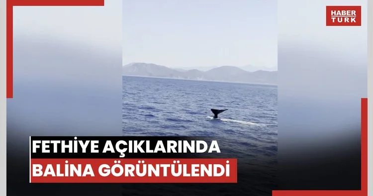 Fethiye açıklarında balina görüntülendi