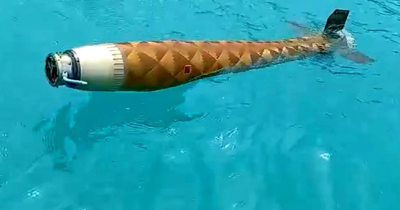 Sinop ta Denizde Mühimmat İhbarı