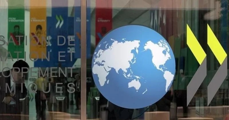 OECD Raporu: Sanayi teşvikleri 2024’te son 15 yılın zirvesine çıktı