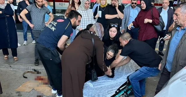 Köpeğin saldırdığı kadın yaralandı Elazığ Haberleri
