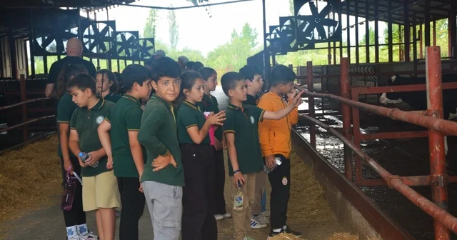 Edremit te Dünya Süt Günü nde çocuklara çiftlikte uygulamalı eğitim Balıkesir Haberleri
