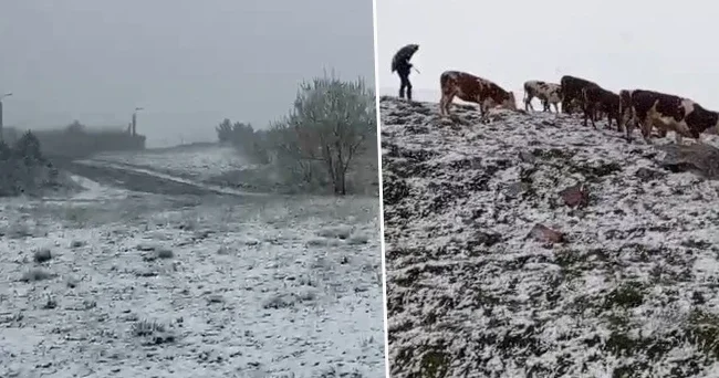 Haziran ayında aniden kar bastırdı: Kısa sürede beyaza büründü