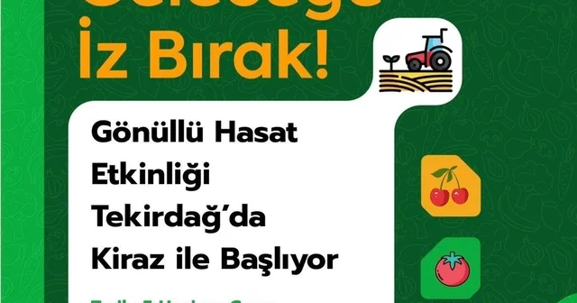Tekirdağ da gönüllü hasat etkinliği kirazla başlıyor Tekirdağ Haberleri
