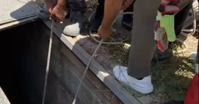 Havalandırma boşluğuna düşen eşek kurtarıldı Muğla Haberleri