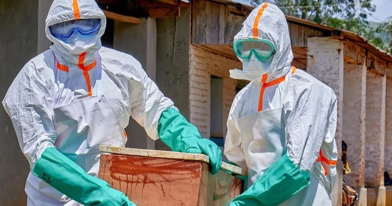Ebola virüsü sınırları aştı, Avrupa ve Güney Amerika alarma geçti