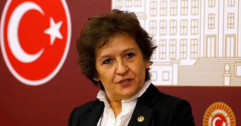 CHP’li Güler “FETÖ partilere yapışan bir deniz kabuklusu” AK Parti silkelendi kurtuldu!