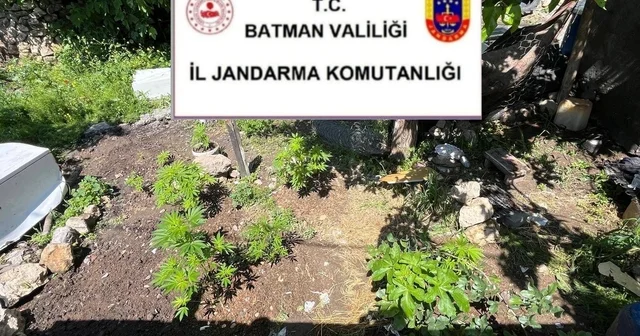 Batman da uyuşturucu ve kaçak ürün operasyonu Batman Haberleri