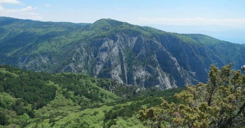 Kazdağları Milli Parkı nın büyük bölümü ziyarete kapatılıyor