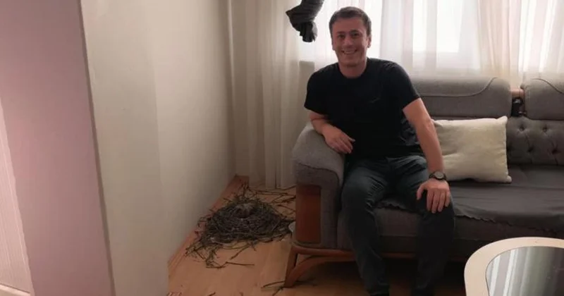1,5 aydır oturma odasını güvercinlerle paylaşıyor