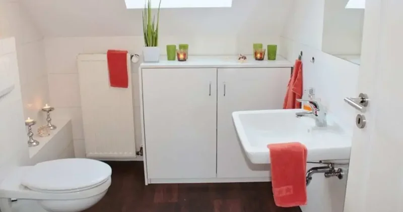Klozetten bile daha kirli! Her gün kullanılan bu eşya adeta mikrop yuvası