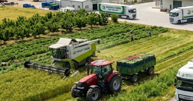75 milyon lira sermaye ile kurulan Türk tarım şirketi iflas etti Sözcü Gazetesi