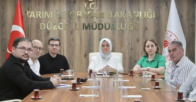 Konuralp pirinci ve Düzce kestane kabağı market raflarına taşınıyor Düzce Haberleri Habertürk Yerel Haberler