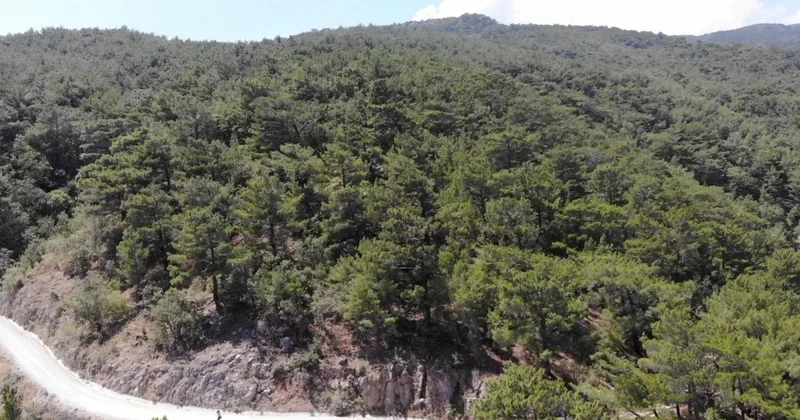 Aksaray da ormanlık alanlara girişler 15 Ekim e kadar yasaklandı