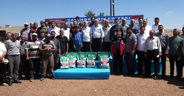Şahinbey Belediyesinden çiftçilere sertifikalı silajlık mısır tohum Gaziantep Haberleri Habertürk Yerel Haberler