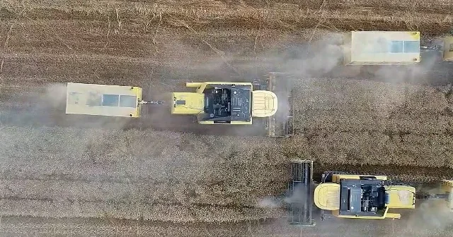 Güneydoğu da hasat mesaisi başladı: Biçerdöverler tarlalara indi VİDEO İZLE