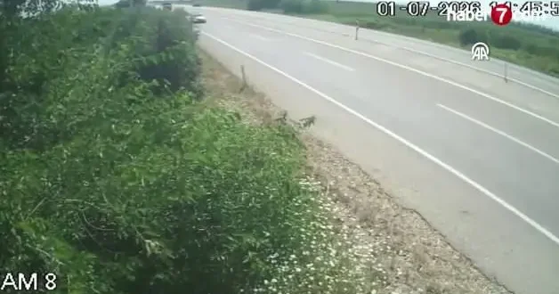 Adana da kamyonun çarptığı jandarma trafik aracındaki bir personel yaralandı