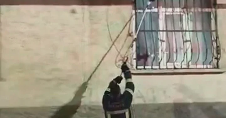 Bir evin pencere korkuluğuna çıkan yılan, yakalanarak doğaya bırakıldı