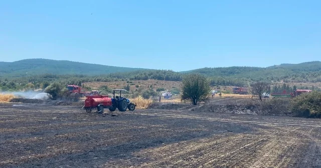 Çanakkale deki yangında 10 dönüm tarım arazisi zarar gördü Tarım arazisinde çıkan yangın kontrol altına alındı Çanakkale Haberleri Habertürk Yerel Haberler