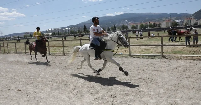Kütahya da Rahvan At Yarışları nefes kesti: 43 ilden 130 un üzerinde at şampiyonluk için koştu Kütahya Haberleri Habertürk Yerel Haberler