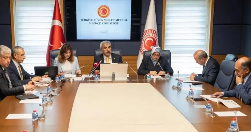 Vatandaşlardan Meclis e ilginç talepler