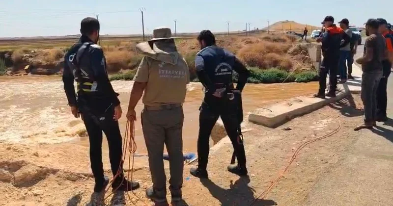 Ölü Süsü Vermek İsteyen Sürücü Yakalandı