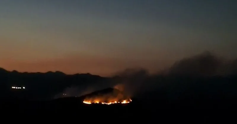Elazığ da orman yangını: Ekipler zamanla yarışıyor