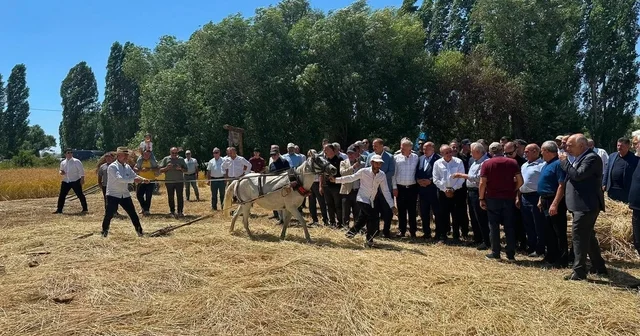 Bayburt ta Harman Şenliği nde geleneksel hasat canlandırıldı Bayburt Haberleri Habertürk Yerel Haberler