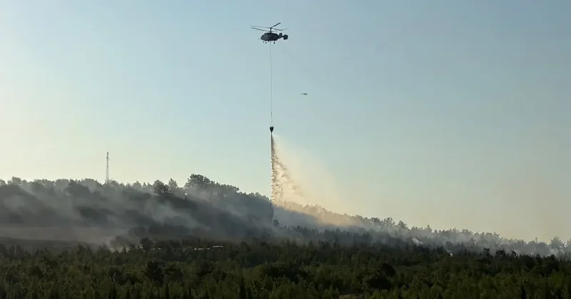 Çanakkale de orman yangını! Ekipler seferber oldu
