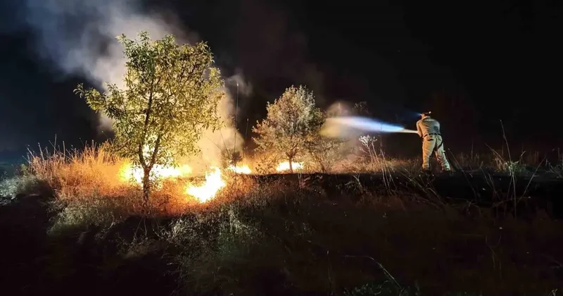 Kırsalda başlayan yangın ormana sıçradı