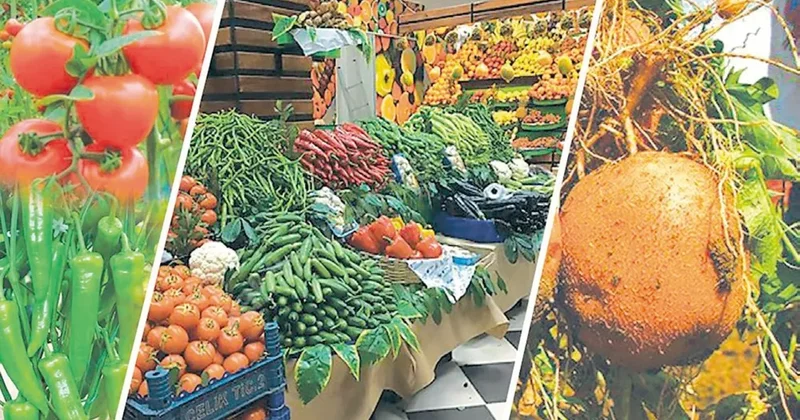 Tarla ile market rafı arasındaki makas genişliyor