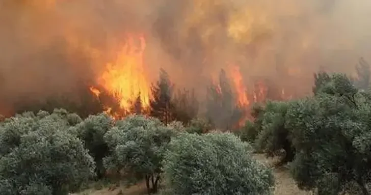 16 ildeki orman yangınlarına ilişkin 6 şüpheli hakkında tutuklama kararı