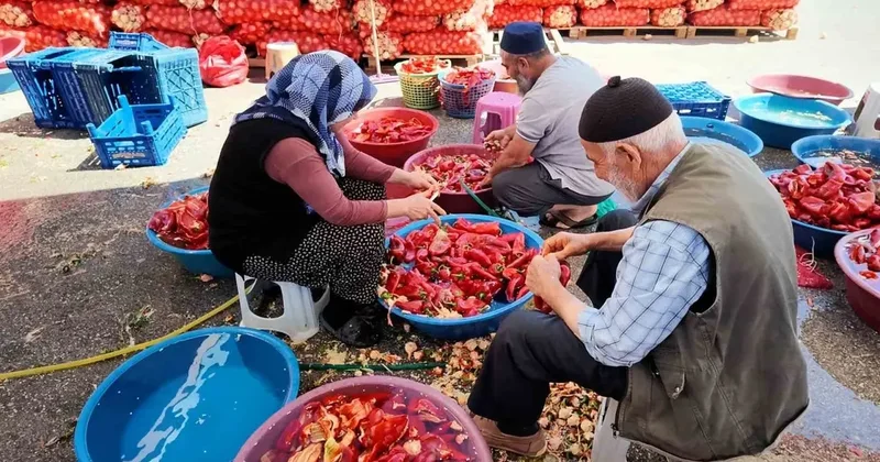 Niğde’de kışlık salça mesaisi başladı