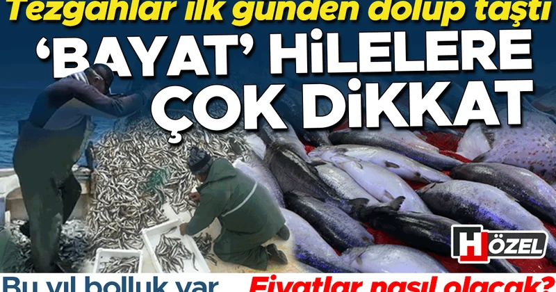 Bu sene palamut bolluğu yaşanıyor... Balık fiyatları ne olacak? Tezgahlardaki ‘bayat’ hilelere çok dikkat!