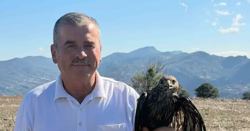Bolu’da sıcak asfalta yapışan şahin, muhtarın müdahalesiyle kurtarıldı