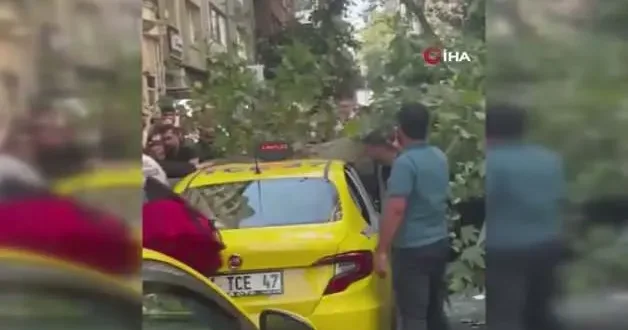 Nişantaşı nda korku dolu anlar! Kökünden sökülen ağaç araçları böyle ezdi
