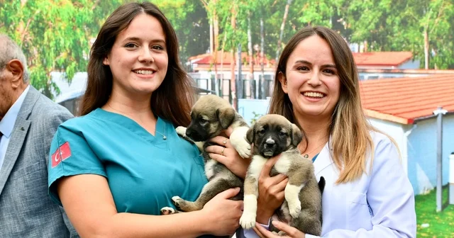 Fethiye de yenilenen hayvan bakımevi törenle hizmete açıldı Muğla Haberleri Habertürk Yerel Haberler