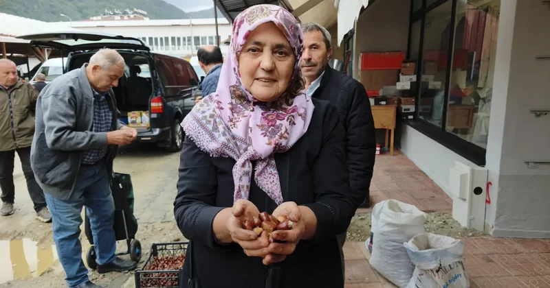 Kestane tezgahlara çıktı, fiyatı belli oldu! Kilosu 600 liradan satılıyor