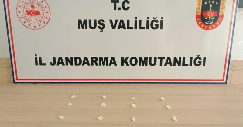 Muş’ta jandarmadan uyuşturucu operasyonları: 19 olaya müdahale edildi