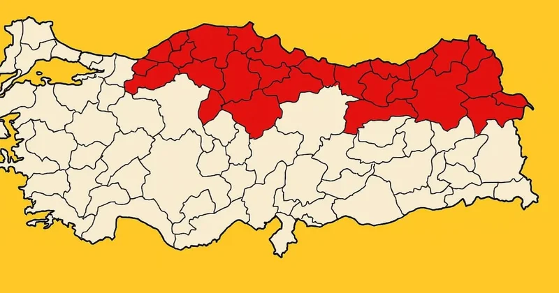 Türkiye genelinde alarm verildi, Karadeniz i tümden sardı: Büyük istila başladı Sözcü Gazetesi