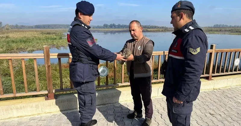 Jandarmanın hayvan sevgisi