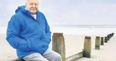 YÜKSEL AYTUĞ Belgesel izleyip rahatlamak mı?