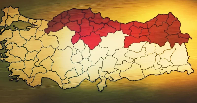 Türkiye de kahverengi kokarca alarmı! Karadeniz i sardı, Marmara ve Ege de de görüldü... Uzmanlardan uyarı