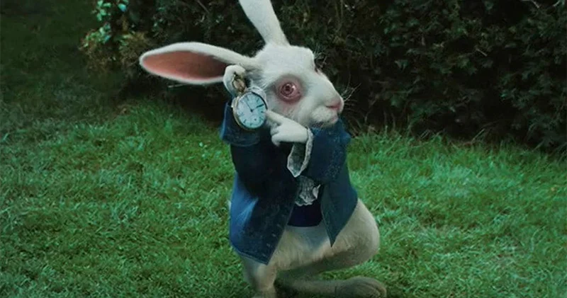 Ertuğrul Özkök: Bugünlerde gece yolda dev bir tavşana rastlarsanız bilin ki gemi su alıyor