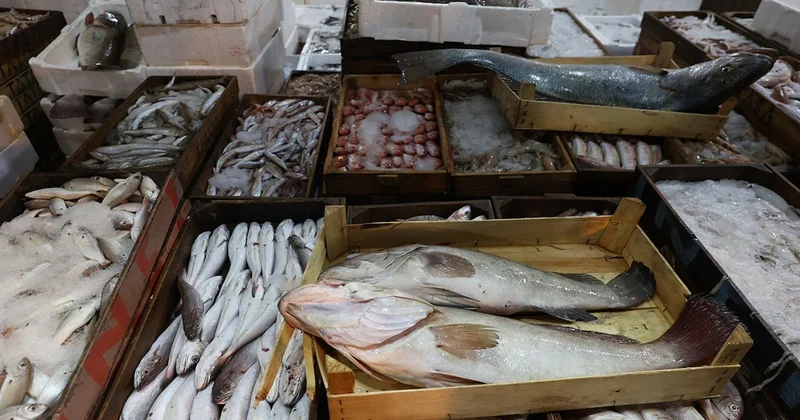 Hamsi, istavrit veya somon değil: Aralık ayında bu balığı yiyin, en sağlısıymış Sözcü Gazetesi